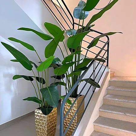 Hotel Primo 4*